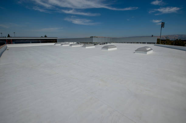 Best Roof Moss and Algae Removal  in Pennsburg, PA
